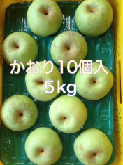 梨　かおり 通販