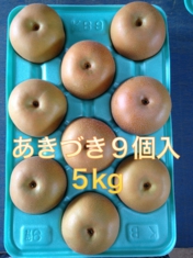 梨　白井　あきづき