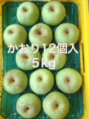 梨　かおり　白井