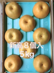 梨　白井　新高