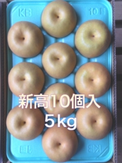 梨　白井　ネット通販