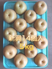 梨　千葉　通販