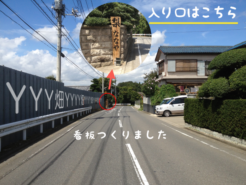 梨　白井　ななやかえん