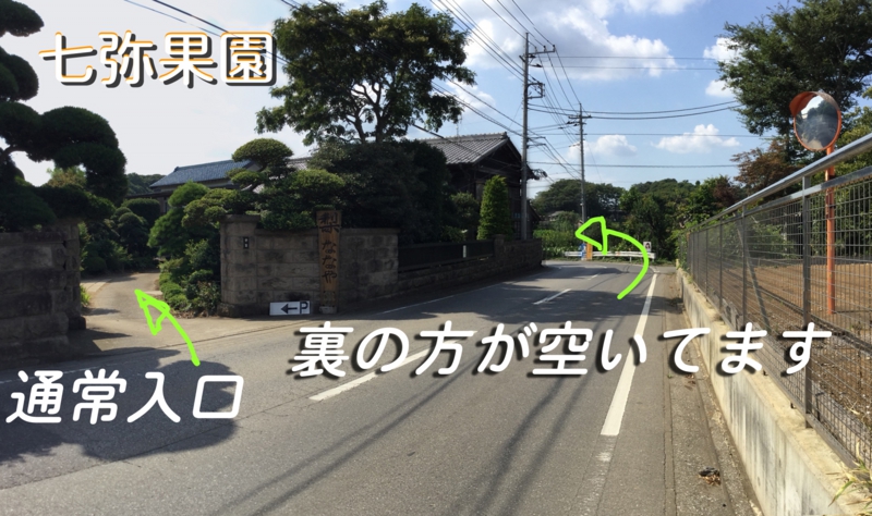 梨 直売所 白井