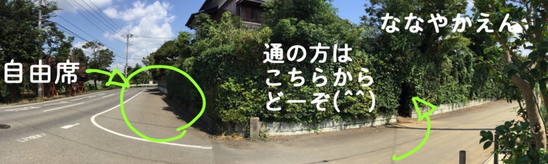 七弥果園 梨